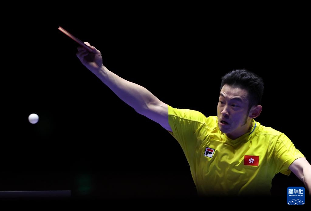 的医疗团队 的医疗团队